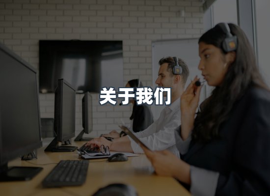 专业团队
